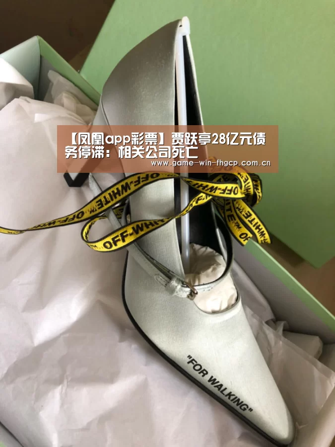 【凤凰app彩票】贾跃亭28亿元债务停滞:相关公司死亡(图1) 凤凰彩票官方app